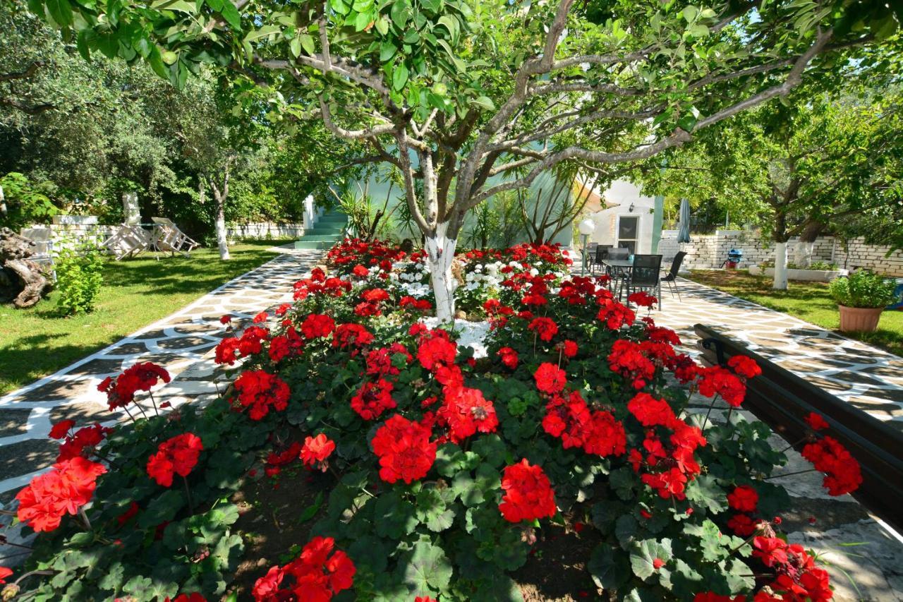 Villa Emilia Пахис Екстериор снимка